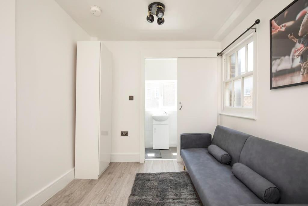 Spacious Serenity In The Heart Of Central Londyn Zewnętrze zdjęcie